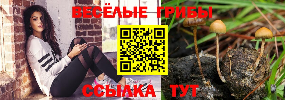 Псилоцибиновые грибы Cubensis  Псилоцибиновые грибы MAGIC MUSHROOMS  Кизляр  Вход с VPN 